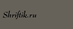 Bernhard Modern Bold Italic BT 